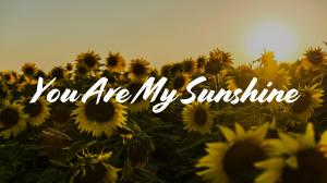 What "You Are My Sunshine" Really Means: A Heartfelt Lyrics Breakdown